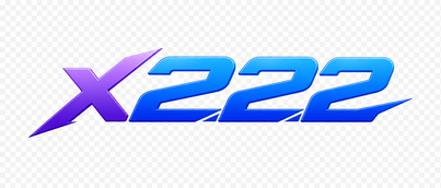 x222